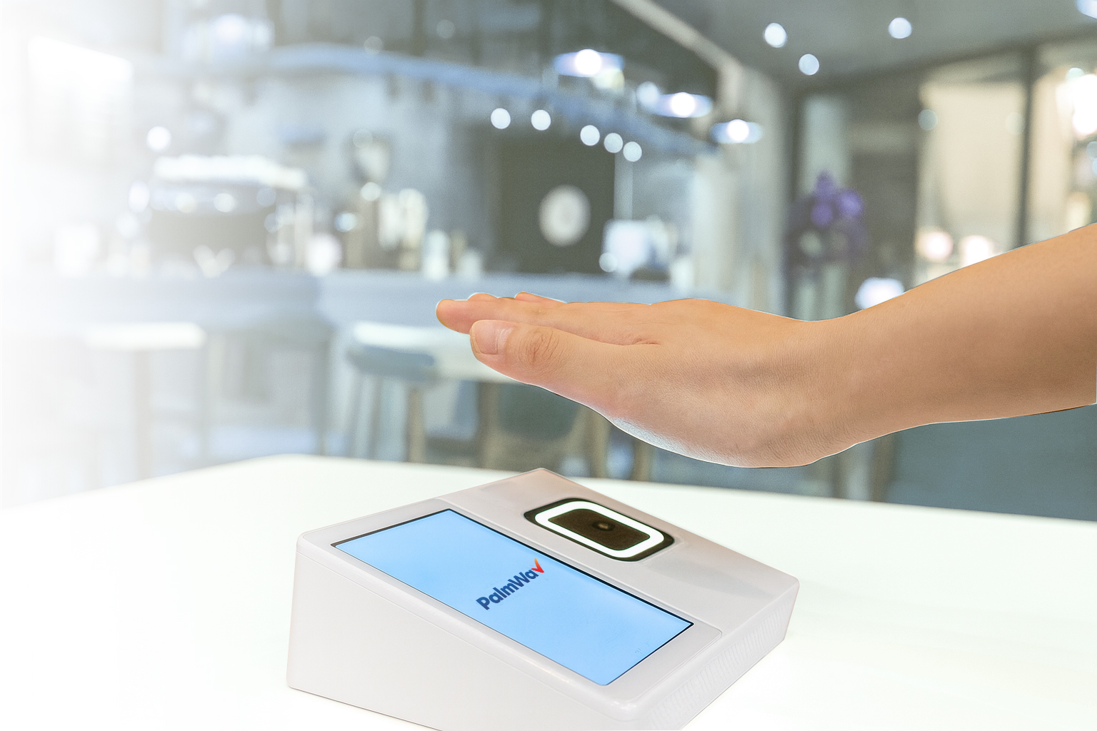 Pay With Palm